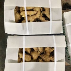 Raiz De Gengibre De Alta Qualidade Gengibre Fresco Da China Fábrica Por Atacado Preço Barato 250g 10Kg Pvc Carton - Product Image 6