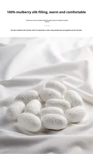 Edredón Superior de Seda de Morera Doble Palacio Hefang Family, Antiácaros, Jacquard, Cuatro Estaciones, Algodón Largo, de China Continental - Product Image 2