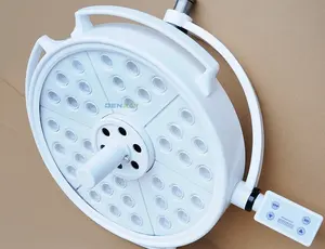 Lámpara quirúrgica LED de 2 brazos, para Hospital, de buena calidad