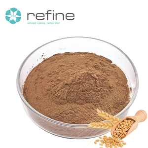 Factory Supply Barley Malt Extract Powder 10:1 20:1 Grain Extract Pure Natural Organic Barley Malt Powder for Beer Brewing - Product Image 2