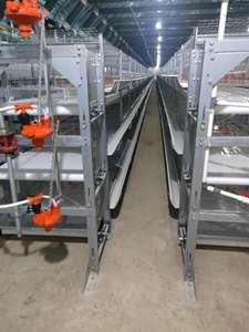 Meilleur prix 10000 oiseaux volaille ferme automatique poulet batterie cages pour pondeuses au kenya - Product Image 5