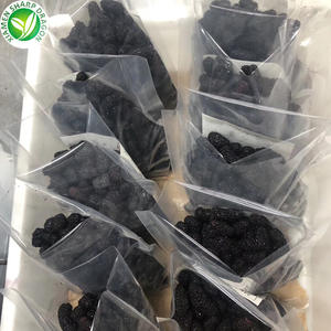 Frutta di gelso biologico alla rinfusa IQF congelato ad un prezzo economico - Product Image 5