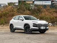 Pour le Ghana Jetour Dasheng 2026 Édition Jeunesse 1.5T 6DCT Édition Luxe Testé pour le marché africain Qualité garantie SUV Algérie