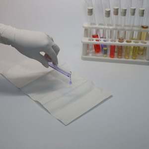 Almohadilla Absorbente Estéril Médica para Recolección de Muestras Dentales Multiusos - Product Image 4