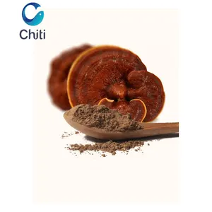 Pó Orgânico Do Extrato Do Cogumelo De Chiti Reishi Para Cuidados De Saúde Pó Orgânico Do Extrato Do Cogumelo De Reishi