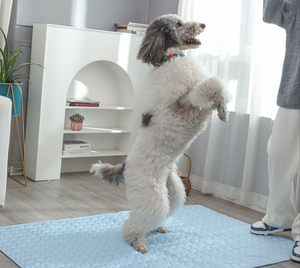 Nueva Llegada Transpirable Resistente a los Arañazos Color Sólido Verano Hielo Seda Enfriamiento en Frío Almohadillas para Mascotas - Product Image 3
