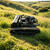 Tondeuse à gazon télécommandée robuste pour l'agriculture et la foresterie, tondeuse à chenilles pour le désherbage