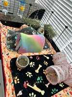 2*5 CC Luxury Foldable Classic Cotton Cage Liners with Plastic Tray Game Mate Liner for Piggy Bedspread Houses Box Packaging