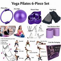 Kit de Yoga et Pilates Professionnel avec Logo Personnalisé : Anneau de Pilates, Ballon de Pilates, Lest de Cheville, Bandes de Résistance en Tissu et Ballon de Yoga