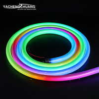 Lampu LED Pixel Tube Bulat Hitam 360 Derajat Bercahaya Tanpa Area Gelap D22 D25 D30 Fleksibel Silikon Neon Flex Dapat Dipotong SPI DMX512 Addressable