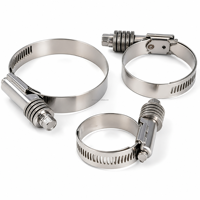 Collier de serrage mini en acier inoxydable 304 réglable pour tuyau d'air comprimé