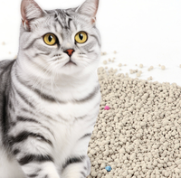 Litière pour chat en bentonite pure non parfumée pour chatons 5 kg, sable pour chat non irritant
