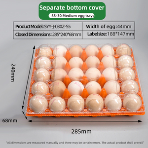 Bandeja <span class=keywords><strong>para</strong></span> Huevos de PET de Colores al por Mayor, Tipo Concha, con Tapa Desmontable, Grado Alimenticio, Antivaho, Antiestática, Apilable, RPET, OEM, Personalizada - Product Image 6