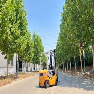 स/आईएसओ प्रमाणित टोबेटर CPD10-B 1-टन मिनी इलेक्ट्रिक फोर्कलिफ्ट दो-चरण 3-मीटर मस्ट इलेक्ट्रिक साइड शिफ्टर लीड एसिड बैटरी - Product Image 3