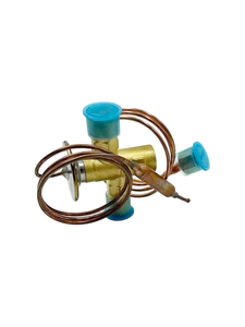 Válvula de Expansión Termostática TELCOOL 11119611/EVB-35M001, Apta para Spheros D16, Turas 900, Accesorios para Aire Acondicionado de Automóviles - Product Image 4