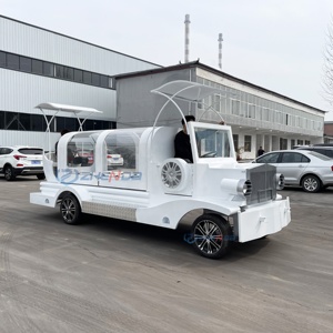 Factory Customized Vintage Black Coffin Carriage Horse Wagon Antique Electric Buggy Electric Funeral Horse Hearse - Product Image 6