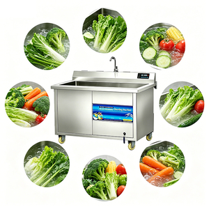 Lave-légumes à l'ozone pour la transformation alimentaire biologique en France, sans résidus chimiques, certifié CE - Product Image 1