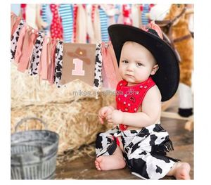 Bannière de chaise haute Cowgirl One, thème <span class=keywords><strong>ferme</strong></span> western rose pour fille, pour premier <span class=keywords><strong>anniversaire</strong></span>, toile de fond photo pour Smash Cake - Product Image 5