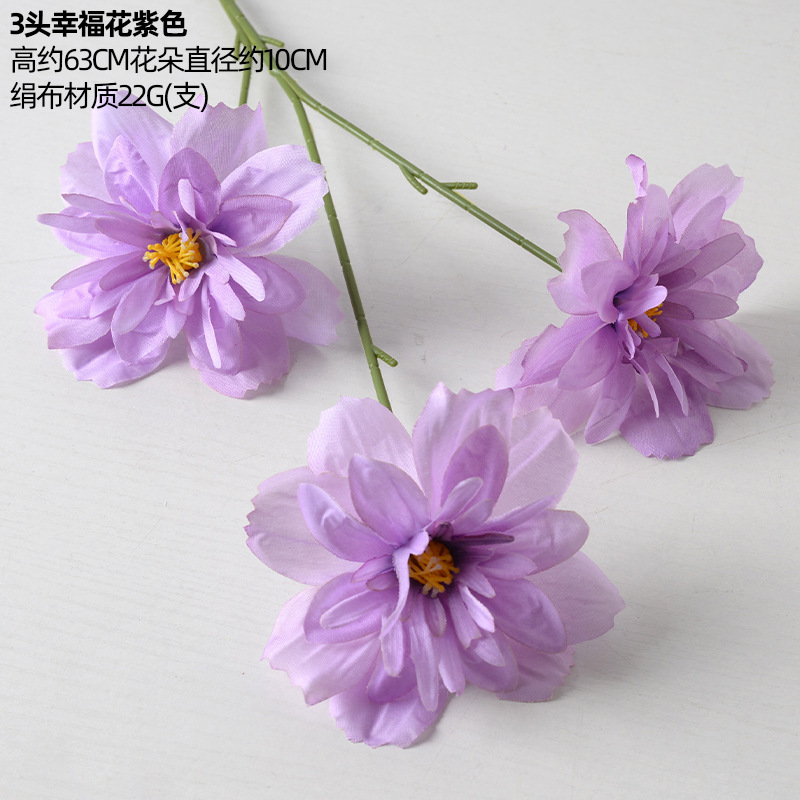 Fleur du bonheur à 3 têtes violette