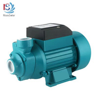 Pompa air irigasi, sikat Dc permukaan tenaga surya 12V 180W QB60 pompa air DC untuk irigasi
