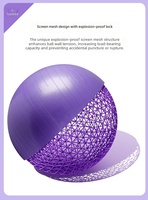 Ballon de yoga en PVC 65 cm, lisse et givré, pour fitness et Pilates