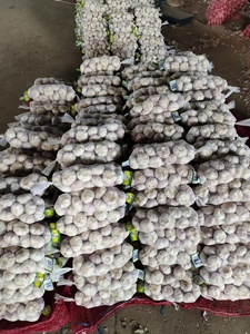 Aglio Fresco Bianco Normale/Puro di Shandong Jin Xiang Raccolto 2024 Grado Premium per il Mercato Globale - Product Image 4