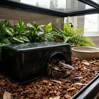 Boîte à serpents en plastique surdimensionnée pour l'élevage en gros, surface lisse, abri sûr pour les grands reptiles, tortues et serpents