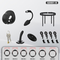 Jaula de Castidad Vibrante YPM con 10 Vibraciones, Control Remoto, Jaula para Pene con 6 Anillos, 2 Llaves, Silicona