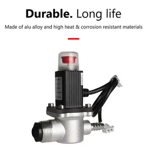 Wholesale DC Emergency Relay <strong>Valve</strong> Shut Off <strong>LPG</strong> Safety 12V Gas Solenoid <strong>Valve</strong> - Product Image 2