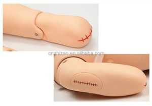 หุ่นจำลองการบาดเจ็บ ZHIZAO 43 ชิ้นส่วน รุ่นขั้นสูง ทำจาก PVC/พลาสติก สำหรับการฝึกอบรมทางการแพทย์เพื่อการประเมินการบาดเจ็บทางพยาบาล - Product Image 4