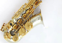 High Quality Saxophone E Flat for Students Beginner with Case Bag