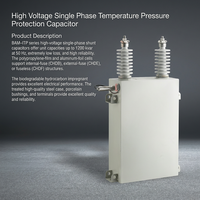 Condensateur shunt monophasé haute tension série BAM-ITP avec protection contre la température et la pression, utilisation en extérieur