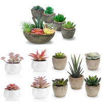 Plantes succulentes artificielles en pot, assorties de fausses plantes succulentes décoratives en pot de faux cactus avec des pots