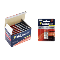 Batterie ultra résistante 1,5 V de tension nominale R03 No. 5 piles sèches AAA au carbone-zinc pour lampes de poche