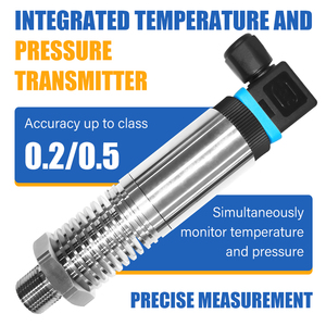 Высокотемпературный интегрированный датчик-преобразователь температуры и давления FIMEET из нержавеющей стали IP65 (класс 304/316L) - Product Image 6
