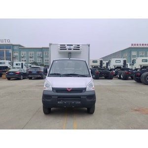 Camioneta Refrigerada Pequeña Manual <span class=keywords><strong>de</strong></span> Gasolina Wuling Nueva <span class=keywords><strong>de</strong></span> Alta Calidad en Venta - Product Image 2