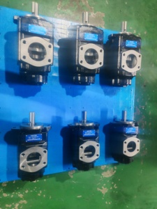 Pompe à palettes hydraulique T6DC-045-020-1R-00-B1 T6DC T6DCW-045 014 017 020 024 028 T6EC-062-025-1R02-B1 T6CC-022-014-1R01-B1 - Product Image 1