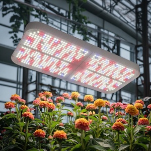 Nouvelle lampe de culture Toplight 800W à spectre complet, haute intensité PPFD, pour la croissance des plantes d'intérieur, des serres et des roses - Product Image 1