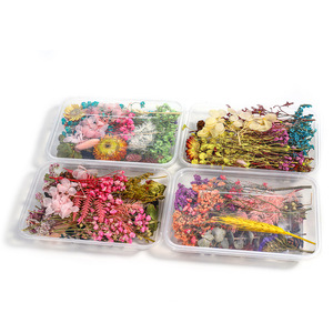 Dried Flower Craft Kit Mixed Preserved Flowers For Handmade Decor Yiwu Origin Ac0659 - Product Image 3