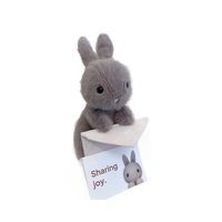 Peluche Lapin Personnalisée en Velours avec Enveloppe, Jouet Anti-Stress en Coton PP et Maille, Cadeau Adorable pour Bébés de 0 à 24 Mois