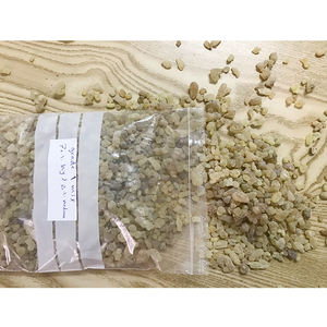 Incienso de resina de Sudán al por mayor, olibano natural de planta, incienso orgánico con sabor a chicle, incienso agrícola - Product Image 3