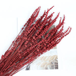 Venta caliente Flores secas reales <span class=keywords><strong>Lavanda</strong></span> <span class=keywords><strong>preservada</strong></span> Flor seca natural <span class=keywords><strong>lavanda</strong></span> para la decoración del hogar del baño - Product Image 3