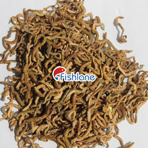 Señuelo <span class=keywords><strong>de</strong></span> <span class=keywords><strong>pesca</strong></span> <span class=keywords><strong>de</strong></span> gusano <span class=keywords><strong>de</strong></span> sangre <span class=keywords><strong>de</strong></span> Camarón, Lugworm seco, para <span class=keywords><strong>pesca</strong></span> <span class=keywords><strong>en</strong></span> el mar - Product Image 2