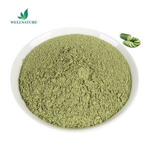 سعر الجملة بودرة استخراج بذور الخيار مستخلص الخيار نقي 100% - Product Image 2