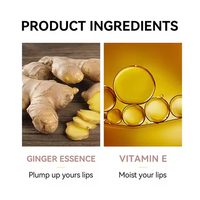 Sérum repulpant pour les lèvres brillant, végétalien et biologique, à marque privée, enrichi en Vitamine E et Huile de Coco, hydratant, nourrissant et non collant, pour le soin des lèvres