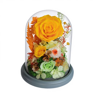 Rosa Preservada con Cúpula, Estilo 2026, Flor Eterna, Amor Activo, para Regalos Festivos y Decoración de Escenarios, Rosa Peonía - Product Image 6