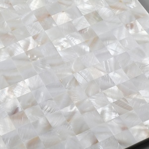 Thế Kỷ Khảm Bán Buôn Màu Trắng Tự Nhiên Mẹ Của Ngọc Trai Khảm Gạch - Product Image 6