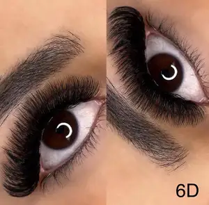 2024 New Material Long Stem Short Stem Eyelash Extender 8d 6d 5d 0.07 D Curl False Eyelash