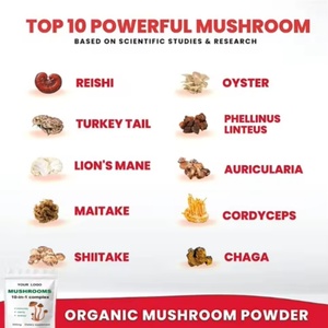 Mezcla de Polvo de Hongos con Extracto Herbal OEM/ODM, Incluye Reishi, Cola de Pavo, Melena de León, Maitake, Shiitake, Chaga, en Envase de Botella o Tambor - Product Image 2