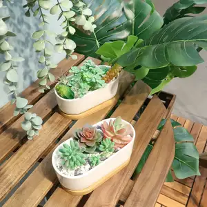 Oval Shape Ceramic Small Succulent Planter Pots with Bamboo Tray and Drainage Hole Not Contain Plants